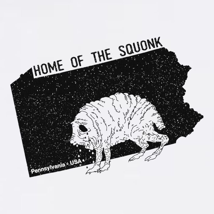 Home Of The Squonk Monster Pennsylvania Usa Cryptozoology Button