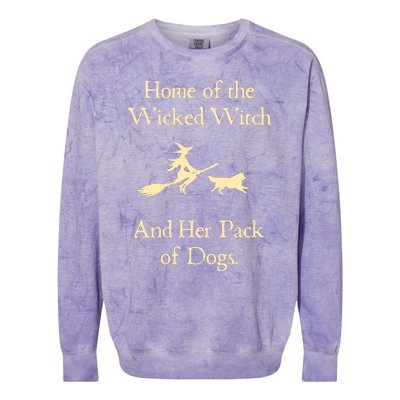 Home Of The Wicked Witch And Her Pack Of Dog Funny Halloween Colorblast Crewneck Sweatshirt