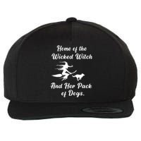 Home Of The Wicked Witch And Her Pack Of Dog Funny Halloween Wool Snapback Cap