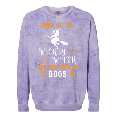 Home Of The Wicked Witch And Her Pack Of Dog Funny Halloween Colorblast Crewneck Sweatshirt