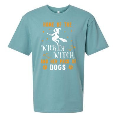 Home Of The Wicked Witch And Her Pack Of Dog Funny Halloween Sueded Cloud Jersey T-Shirt