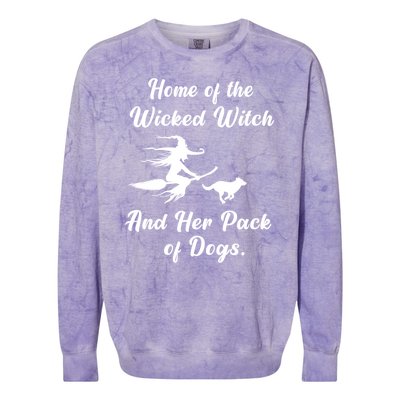 Home Of The Wicked Witch And Her Pack Of Dog Funny Halloween Colorblast Crewneck Sweatshirt