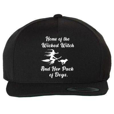 Home Of The Wicked Witch And Her Pack Of Dog Funny Halloween Wool Snapback Cap