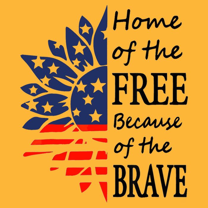 Home of the Free Because Brave 4th of July Armed Forces Day Pom Pom 12in Knit Beanie