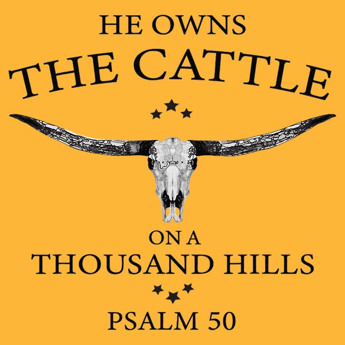 He Owns The Cattle On A Thousand Hills Bull Skull Christian Pom Pom 12in Knit Beanie