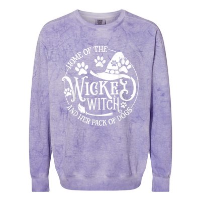 Home Of The Wicked Witch And Her Pack Of Dog Funny Halloween Colorblast Crewneck Sweatshirt