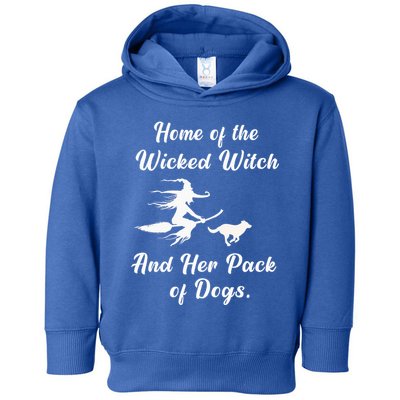 Home Of The Wicked Witch And Her Pack Of Dog Funny Halloween Toddler Hoodie