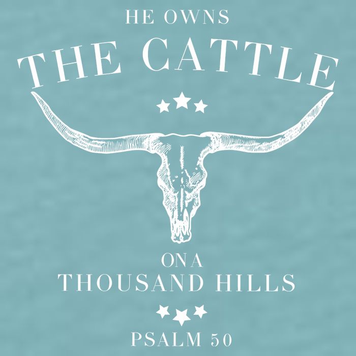 He Owns The Cattle On A Thousand Hills Sueded Cloud Jersey T-Shirt