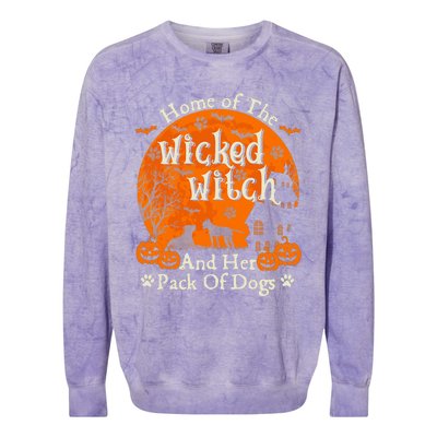 Home Of The Wicked Witch And Her Pack Of Dog Funny Halloween Colorblast Crewneck Sweatshirt