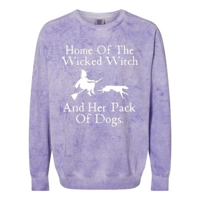 Home Of The Wicked Witch And Her Pack Of Dog Funny Halloween Colorblast Crewneck Sweatshirt