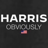 Harris Obviously Usa Flag Kamala Harris For President 2024 Beanie