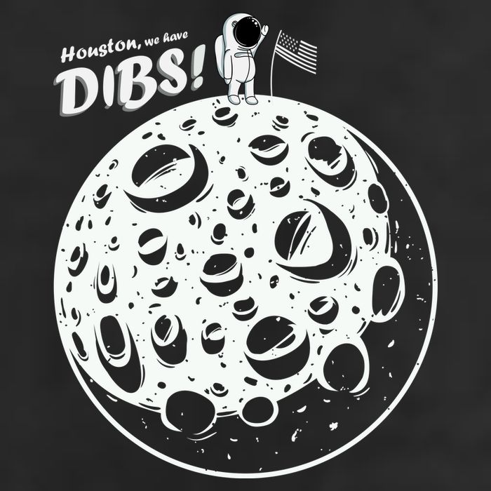 Houston We Have Dibs Premium Pullover Hoodie