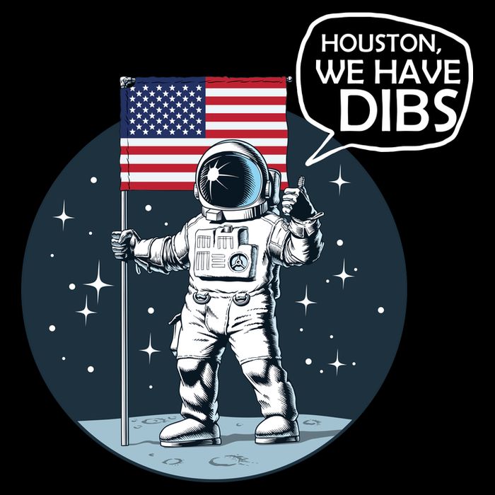 Houston We Have Dibs Moon Landing 16 in Basic Backpack