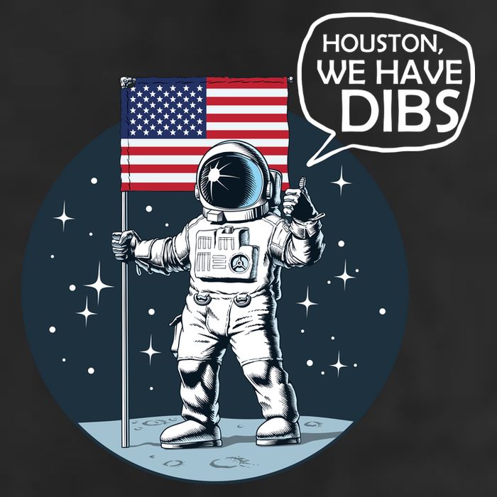 Houston We Have Dibs Moon Landing Microfiber Hand Towel