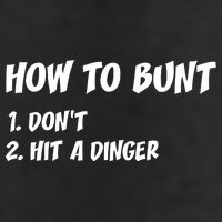 How To Bunt Don't Hit A Dinger Garment-Dyed Fleece Hoodie