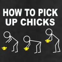 How To Pick Up Chicks Garment-Dyed Fleece Hoodie