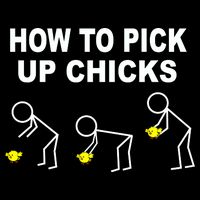 How To Pick Up Chicks Premium T-Shirt