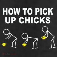 How To Pick Up Chicks 25L Jumbo Tote