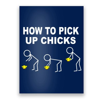 How To Pick Up Chicks Poster