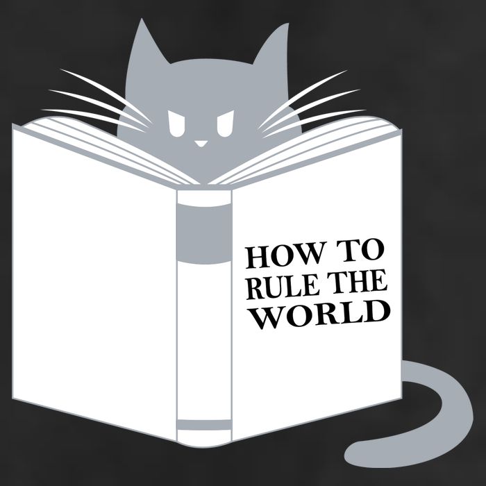 How To Rule The World Cat 15oz Campfire Ceramic Mug