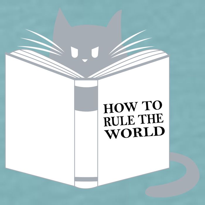 How To Rule The World Cat Sueded Cloud Jersey T-Shirt