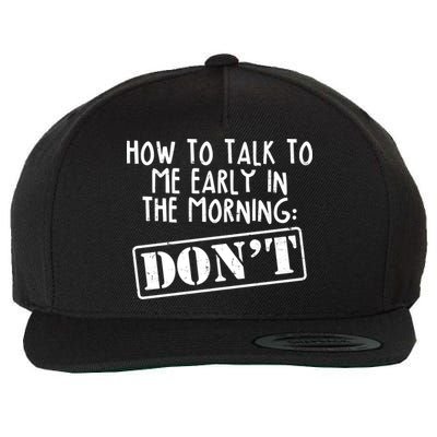 How To Talk To Me Early In The Morning DON'T Wool Snapback Cap