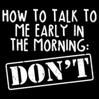 How To Talk To Me Early In The Morning DON'T Wool Snapback Cap