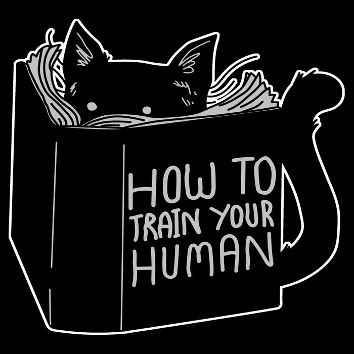 How To Train Your Human Youth Performance Sprint T-Shirt