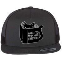 How To Train Your Human Flatbill Hat