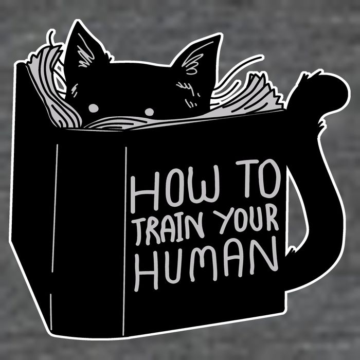 How To Train Your Human Flatbill Hat