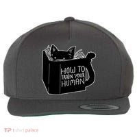 How To Train Your Human Wool Snapback Cap