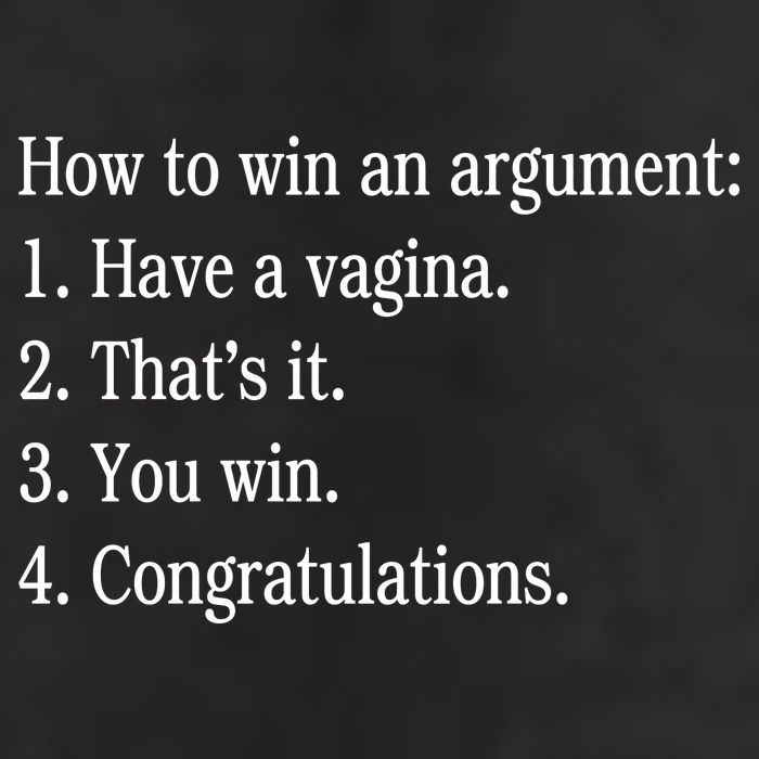 How To Win An Argument Have A Vagina Garment-Dyed Fleece Hoodie