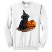 Halloween Pumpkin Black Cat Sweatshirt