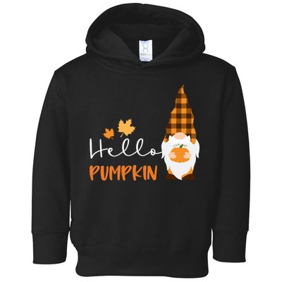 Hello Pumpkin Cute Gnome Fall Autumn Toddler Hoodie
