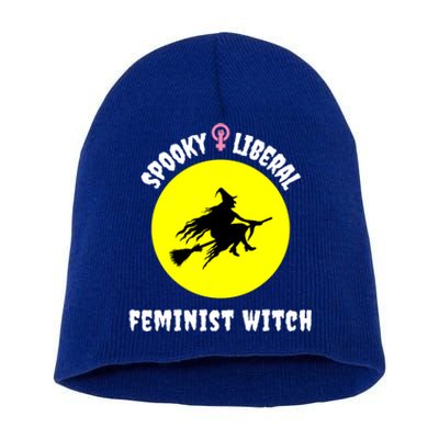 Halloween Pro Choice Spooky Liberal Feminist Witch Feminism Gift Short Acrylic Beanie