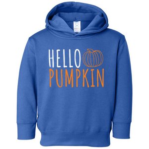 Hello Pumpkin Cute Fall Autumn Pumpkin Spice Gift Toddler Hoodie