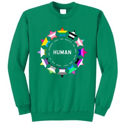 Human Pride Design Human Lgbtq Flag Sweatshirt