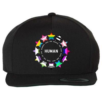 Human Pride Design Human LGBTQ Flag Wool Snapback Cap