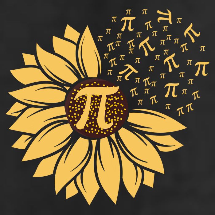 Happy Pi Day Sunflower Lovers 11oz C Handle Ceramic Mug