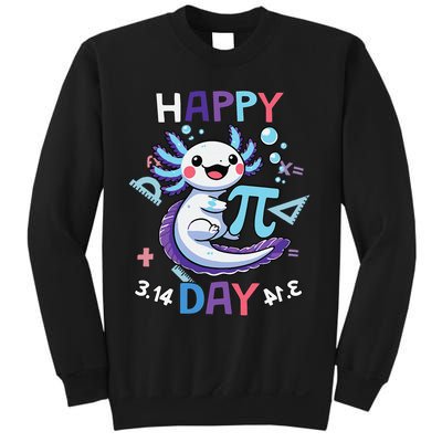 Happy Pi Day Funny Axolotl Questions Math Lovers Sweatshirt