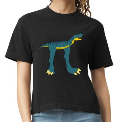 Happy Pi Day Dino Dinosaur T Rex Math Lover Boy Girl Comfort Colors Boxy T-Shirt