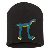 Happy Pi Day Dino Dinosaur T Rex Math Lover Boy Girl Short Acrylic Beanie
