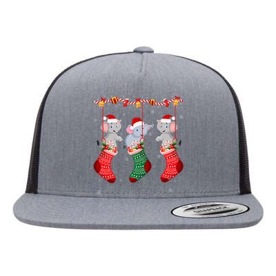 Holiday Party Elephant Christmas Socks  Flat Bill Trucker Hat