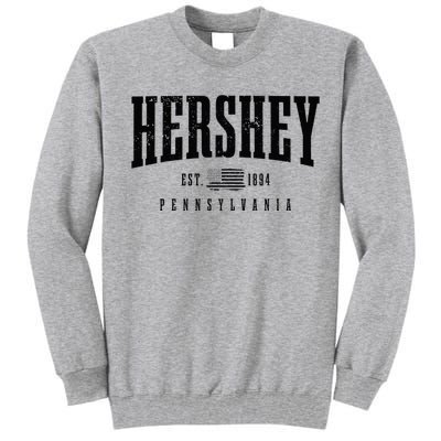 Hershey Pennsylvania Est. 1894 American Flag Patriotic Tall Sweatshirt