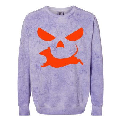 Halloween Pumpkin Face Dachshund Colorblast Crewneck Sweatshirt