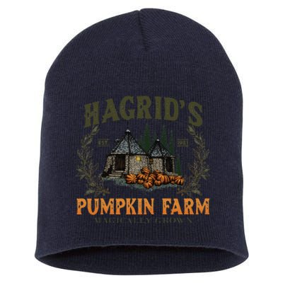 Hagrids Pumpkin Farm Magically Grown Cute Fall Gift Short Acrylic Beanie