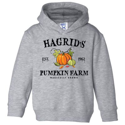 HagridS Pumpkin Farm Fall Autumn Pumpkin Garden Toddler Hoodie