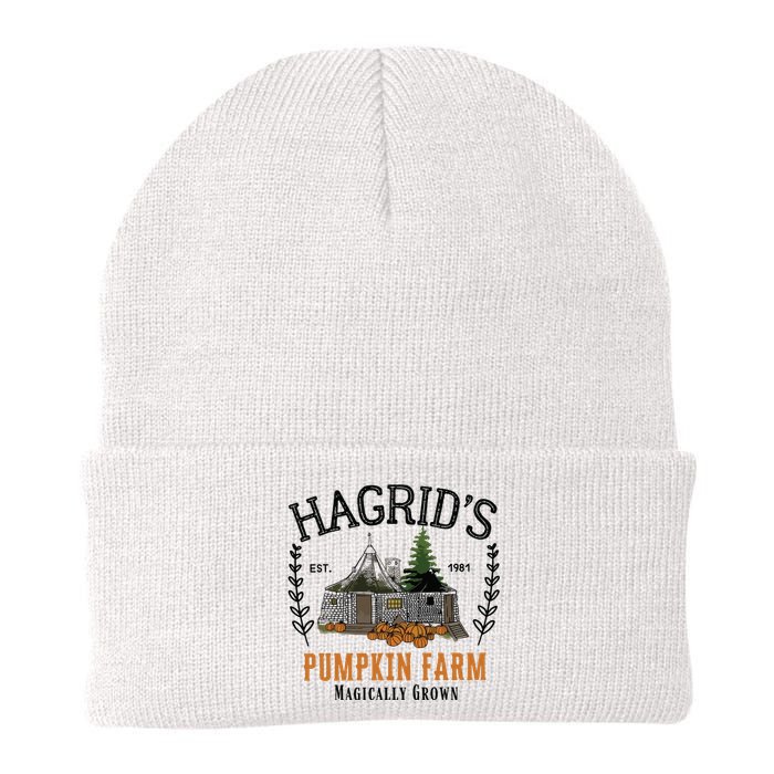 HagridS Pumpkin Farm Thanksgiving 2024 Knit Cap Winter Beanie