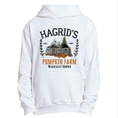 HagridS Pumpkin Farm Thanksgiving 2024 Urban Pullover Hoodie