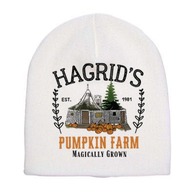 HagridS Pumpkin Farm Thanksgiving 2024 Short Acrylic Beanie